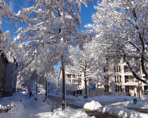 Winter Martinsbruggstrasse.JPG