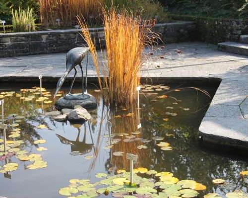 Herbst_Bot. Garten .JPG